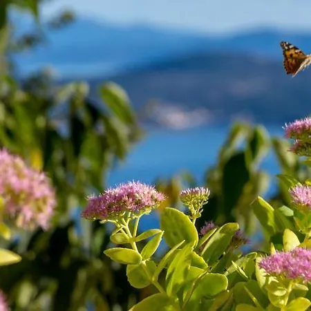 Apartman Renovated Old Stone House *