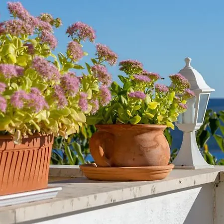 Apartman Renovated Old Stone House